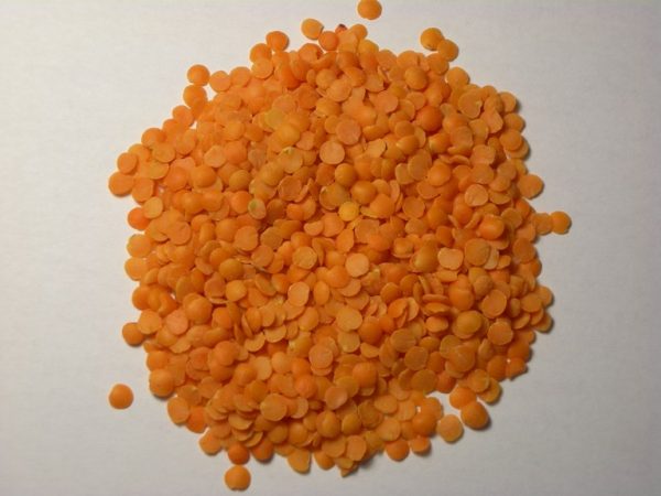 মুসুর ডাল ১০০০গ্রাম